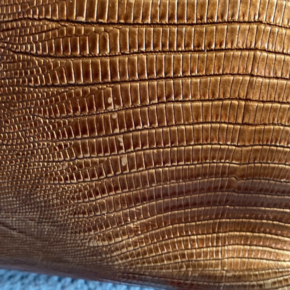 NOT FOR SALE Brahmin Snake Design Handbag - Picture 9 of 15